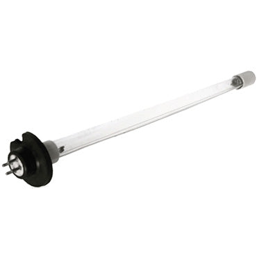 Paramount Clear O3 Replacement Lamp